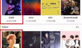 扒奇爆料最新歌曲视频播放,最新歌曲视频惊艳亮相，视听盛宴即将开启！